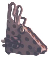 cervo